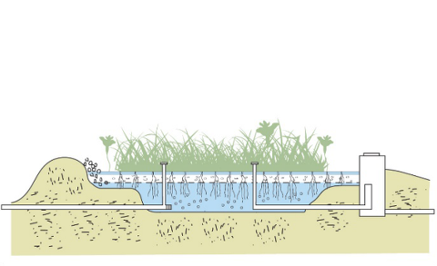 Viser illustration med konstrueret vådområde